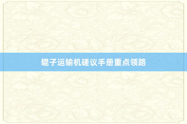 辊子运输机磋议手册重点领路